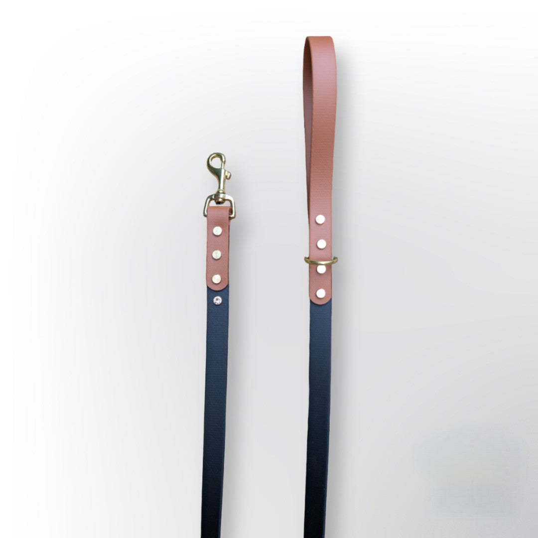 Two Tone Dog Lead