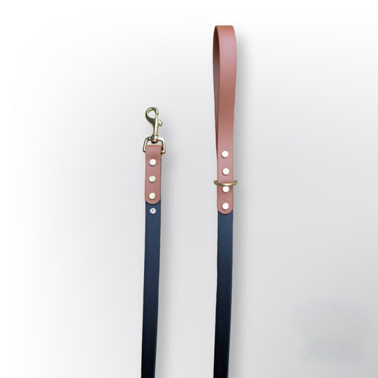 Two Tone Dog Lead